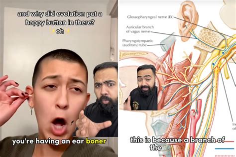 esrgzm|The Eargazm .
